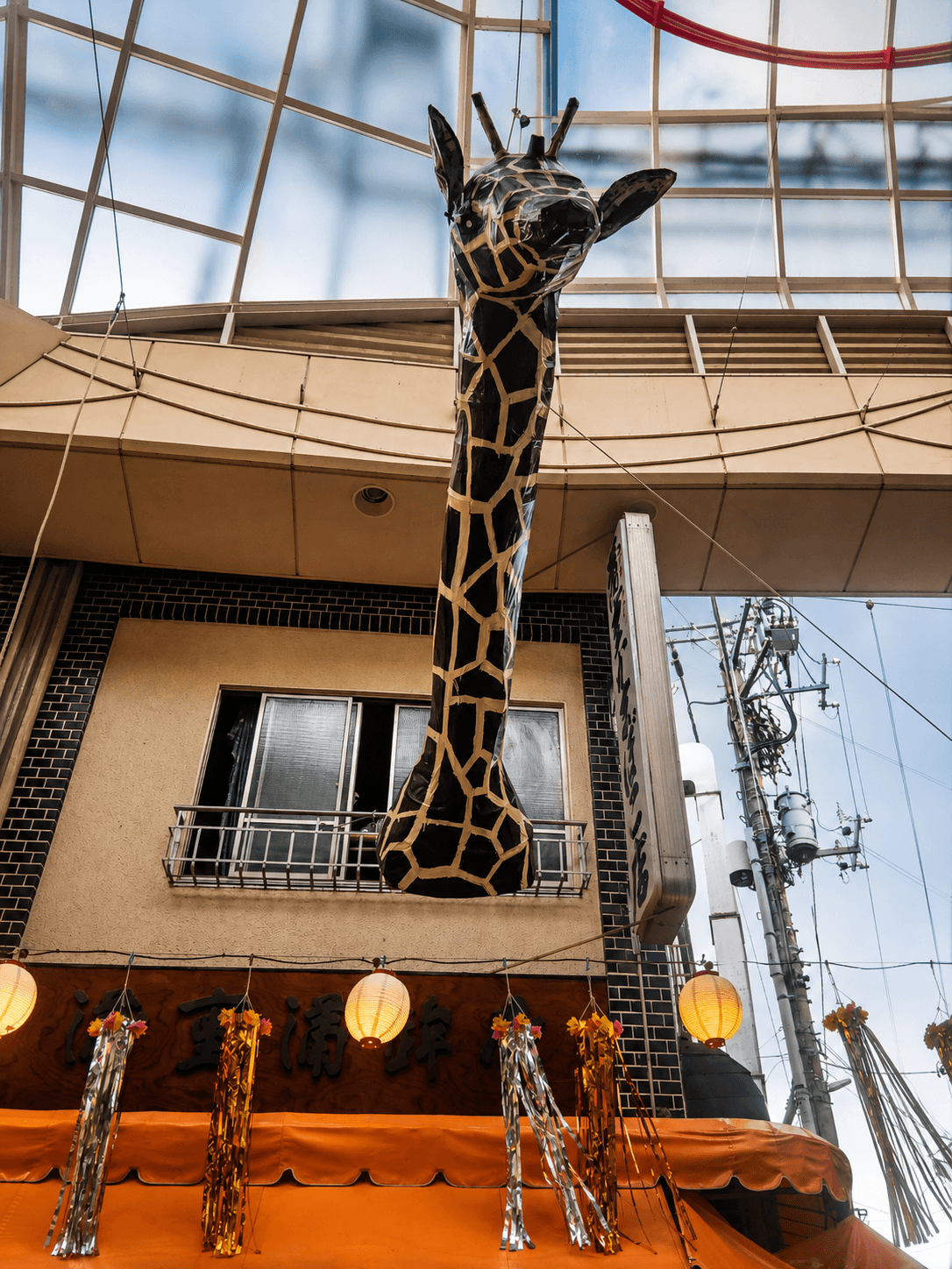 LOOK UP. NO, HIGHER. EVEN HIGHER.